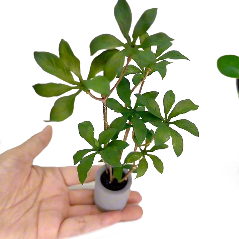 1:6 Dollhouse Miniature Potted - Bonsai Garden Zen ulasan dan harga
