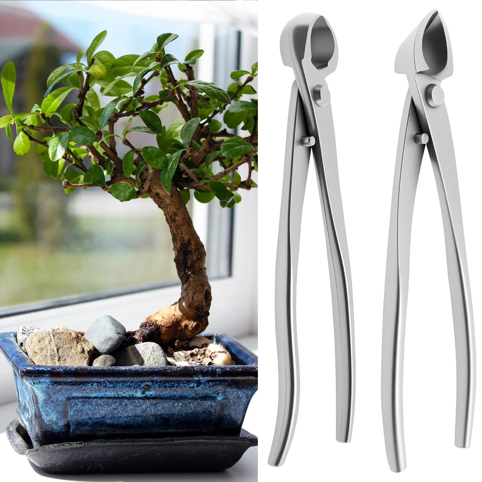 Bonsai Grooming Kit Stainless  - Bonsai Garden Timings ulasan dan harga