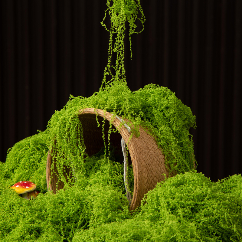 200g Eternal Life Moss DIY Cra - Bonsai Garden For Home ulasan dan harga