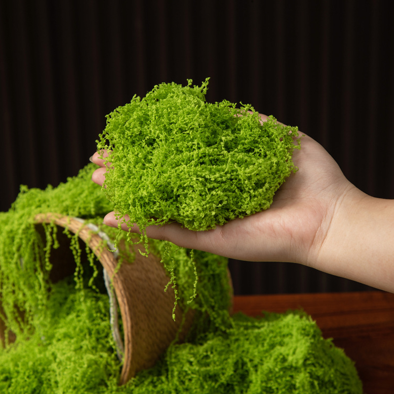 200g Eternal Life Moss DIY Cra - Bonsai Garden For Home ulasan dan harga