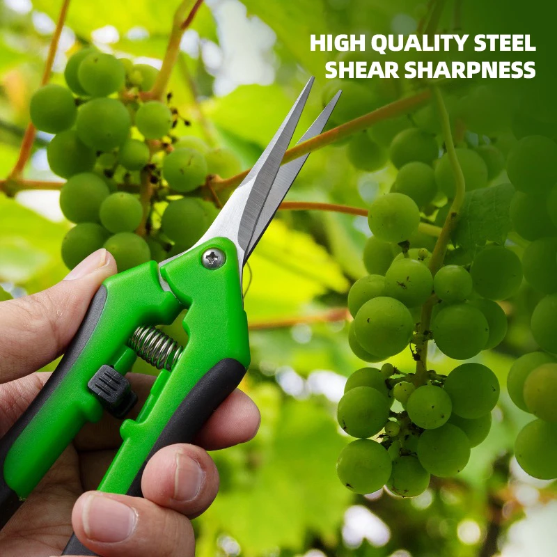6.5-inch Pruning Scissors for  - Bonsai Garden Timings ulasan dan harga