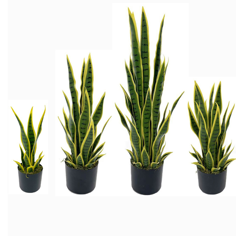 40-100cm Artificial Sansevieri - Bonsai Garden Zen ulasan dan harga