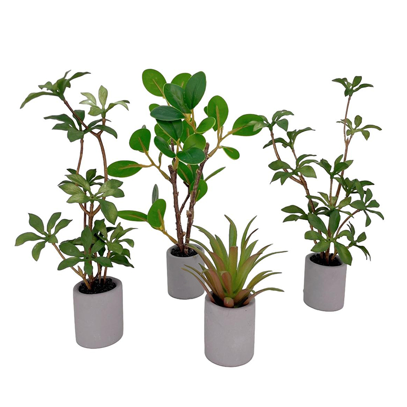 1:6 Dollhouse Miniature Potted - Bonsai Garden Zen ulasan dan harga