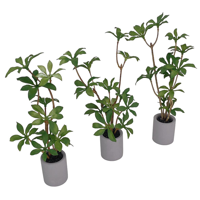1:6 Dollhouse Miniature Potted - Bonsai Garden Zen ulasan dan harga