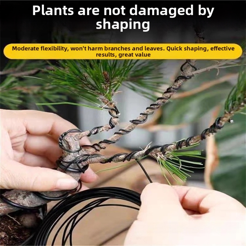 1.5MM Bonsai Wires Aluminum Bo - Bonsai Garden For Home ulasan dan harga