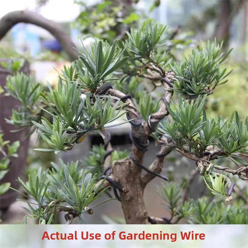 1.5MM Bonsai Wires Aluminum Bo - Bonsai Garden For Home ulasan dan harga