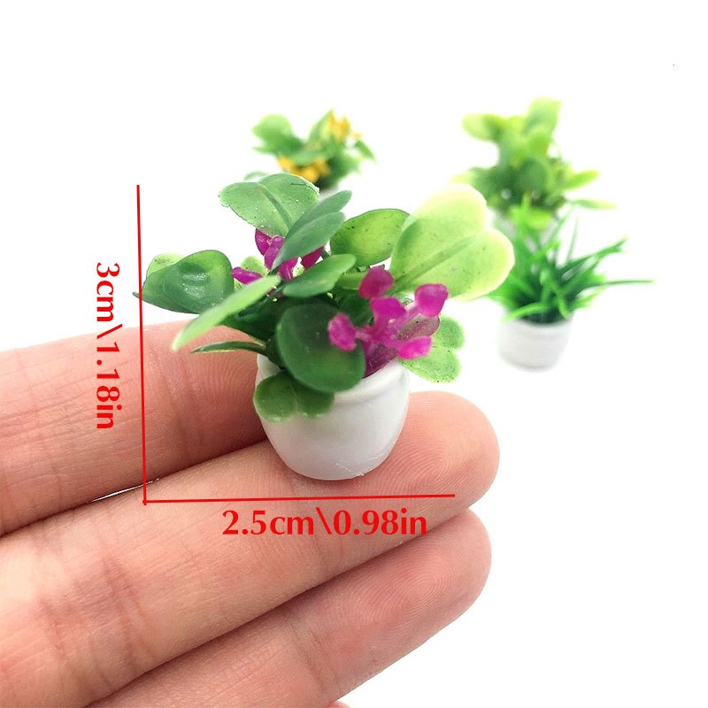 Dollhouse Plant, Miniature Bon - Bonsai Garden Zen ulasan dan harga