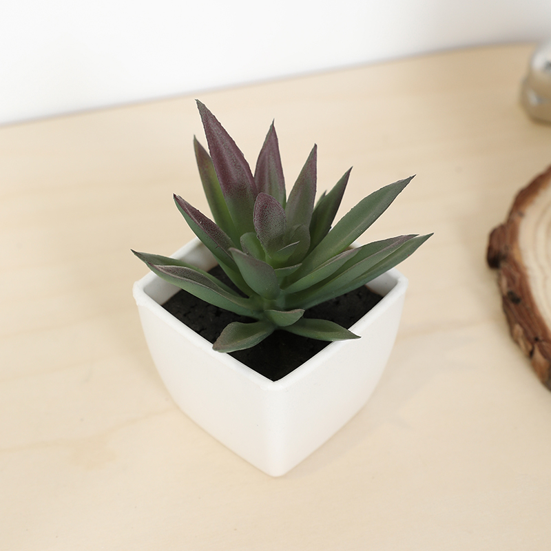 Mini Artificial Succulent Fair - Bonsai Garden Zen ulasan dan harga