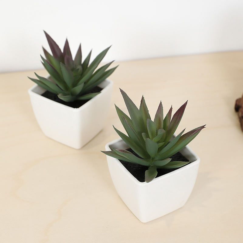 Mini Artificial Succulent Fair - Bonsai Garden Zen ulasan dan harga
