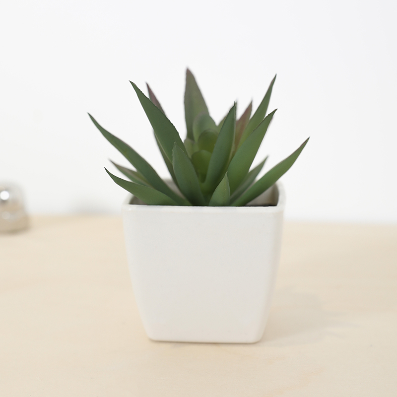 Mini Artificial Succulent Fair - Bonsai Garden Zen ulasan dan harga