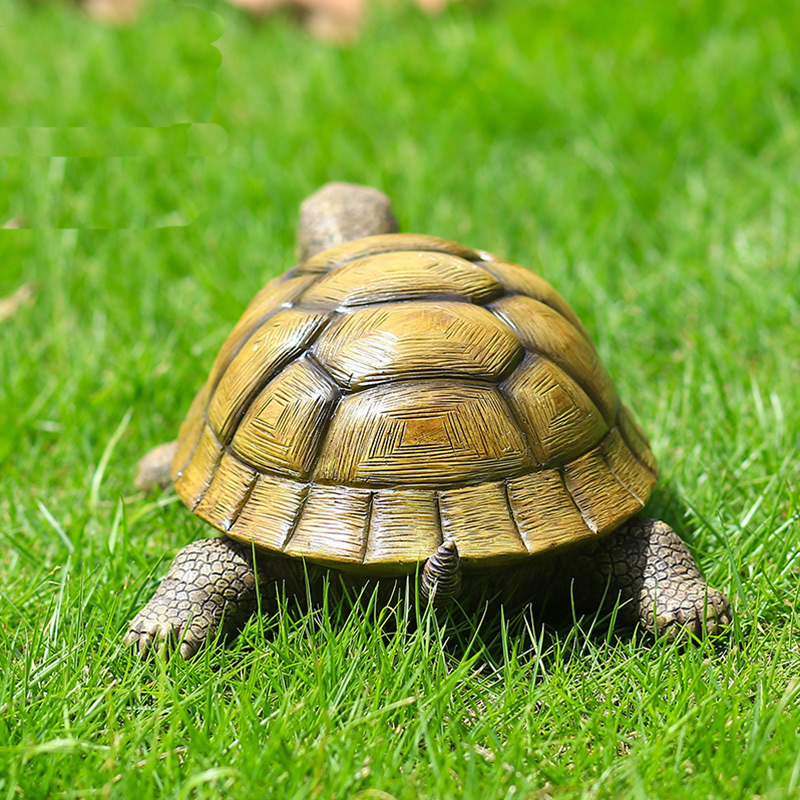 Cute Decorative Turtle Resin T - Bonsai Garden For Home ulasan dan harga