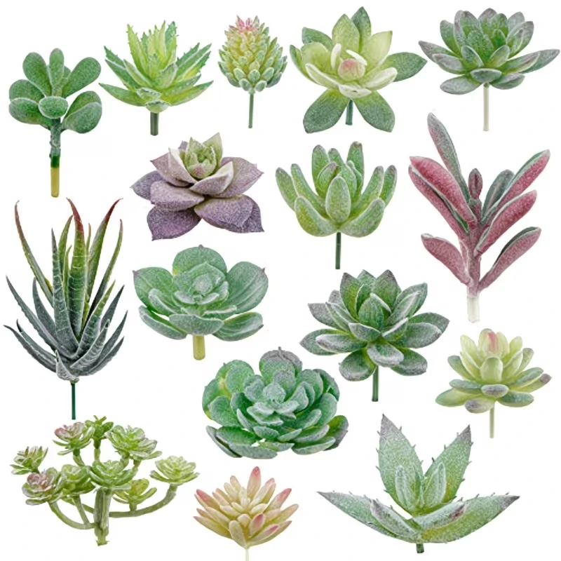 10/20Pcs PVC Succulents Plants - Bonsai Garden For Home ulasan dan harga