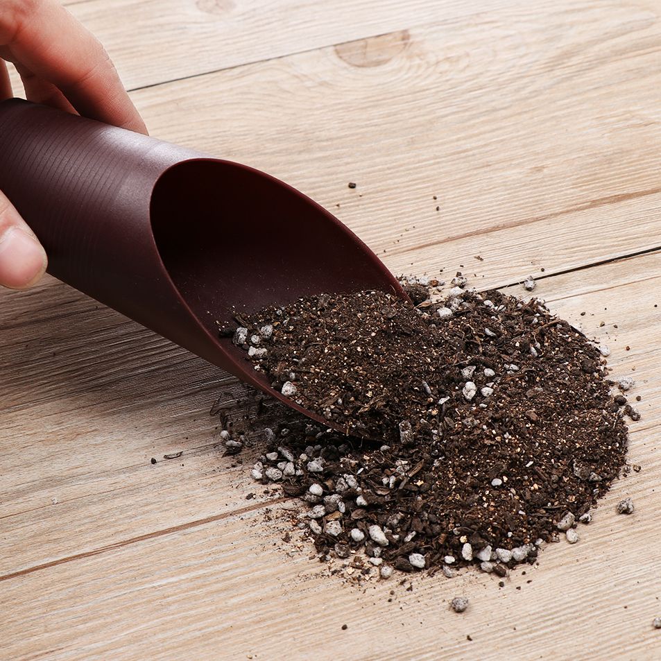 1PC Plastic Soil Shovel Cup Fo - Bonsai Garden Zen ulasan dan harga